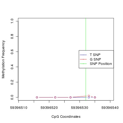 Allele Specific Methylation Frequency Diagram for chr19 59396532 SNP.