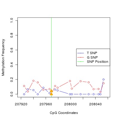 Allele Specific Methylation Frequency Diagram for chr20 207969 SNP.