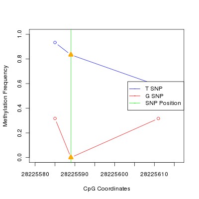 Allele Specific Methylation Frequency Diagram for chr20 28225589 SNP.