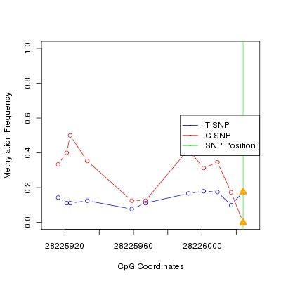 Allele Specific Methylation Frequency Diagram for chr20 28226024 SNP.