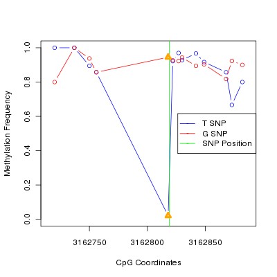 Allele Specific Methylation Frequency Diagram for chr20 3162819 SNP.