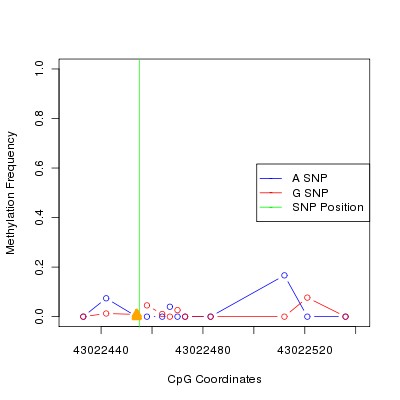 Allele Specific Methylation Frequency Diagram for chr20 43022455 SNP.