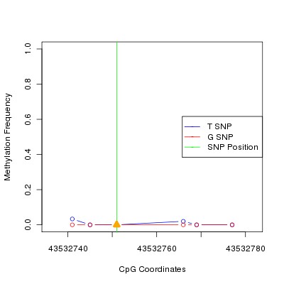 Allele Specific Methylation Frequency Diagram for chr20 43532751 SNP.