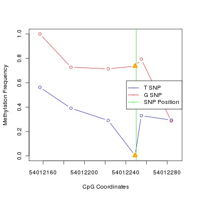 Allele Specific Methylation Frequency Diagram for chr20 54012250 SNP.