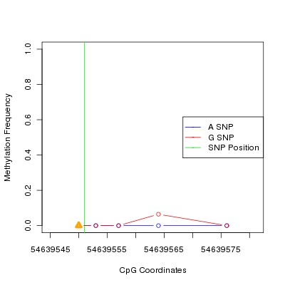 Allele Specific Methylation Frequency Diagram for chr20 54639551 SNP.