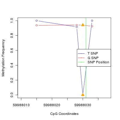 Allele Specific Methylation Frequency Diagram for chr20 59988031 SNP.
