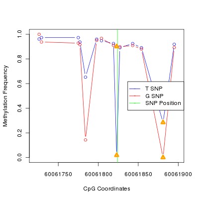 Allele Specific Methylation Frequency Diagram for chr20 60061824 SNP.