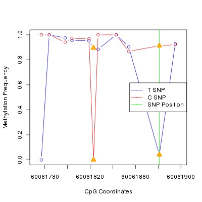 Allele Specific Methylation Frequency Diagram for chr20 60061881 SNP.