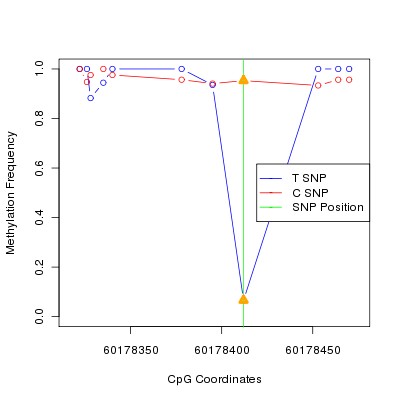 Allele Specific Methylation Frequency Diagram for chr20 60178412 SNP.
