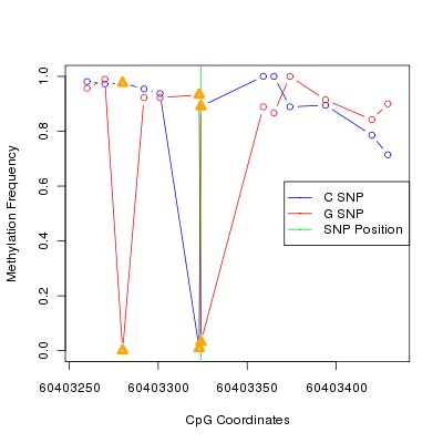 Allele Specific Methylation Frequency Diagram for chr20 60403324 SNP.