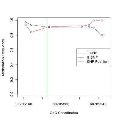 Allele Specific Methylation Frequency Diagram for chr20 60785185 SNP.