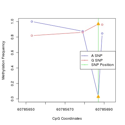 Allele Specific Methylation Frequency Diagram for chr20 60785687 SNP.