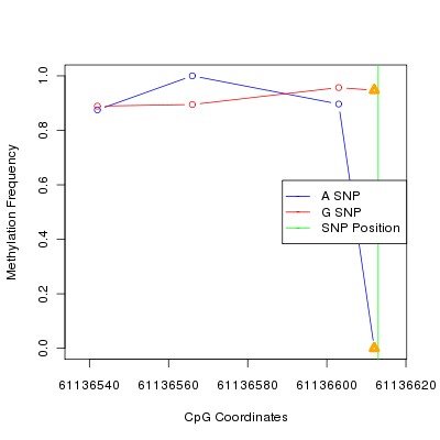 Allele Specific Methylation Frequency Diagram for chr20 61136613 SNP.