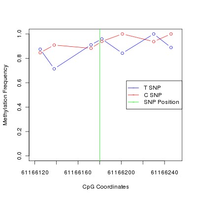 Allele Specific Methylation Frequency Diagram for chr20 61166180 SNP.
