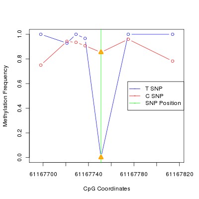 Allele Specific Methylation Frequency Diagram for chr20 61167751 SNP.