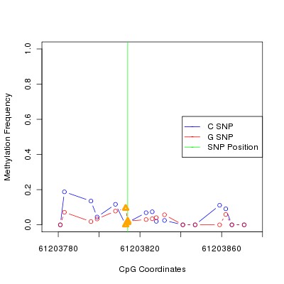 Allele Specific Methylation Frequency Diagram for chr20 61203814 SNP.