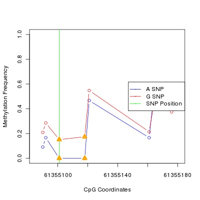 Allele Specific Methylation Frequency Diagram for chr20 61355101 SNP.