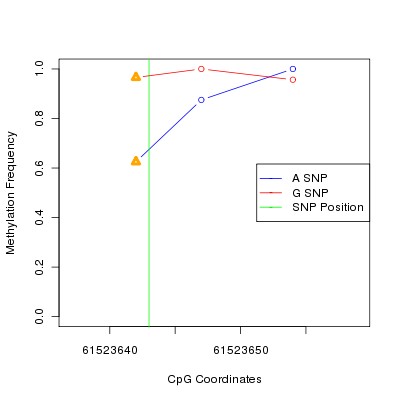 Allele Specific Methylation Frequency Diagram for chr20 61523643 SNP.
