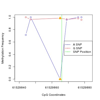 Allele Specific Methylation Frequency Diagram for chr20 61529866 SNP.