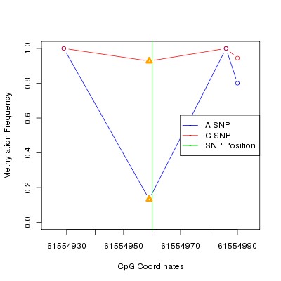 Allele Specific Methylation Frequency Diagram for chr20 61554960 SNP.