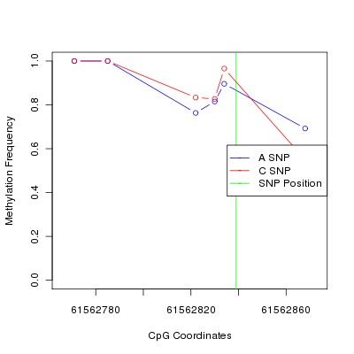Allele Specific Methylation Frequency Diagram for chr20 61562839 SNP.