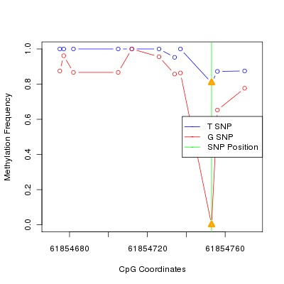 Allele Specific Methylation Frequency Diagram for chr20 61854753 SNP.
