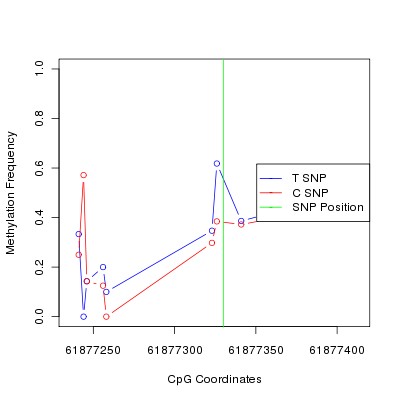 Allele Specific Methylation Frequency Diagram for chr20 61877330 SNP.