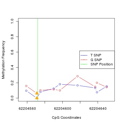 Allele Specific Methylation Frequency Diagram for chr20 62204572 SNP.