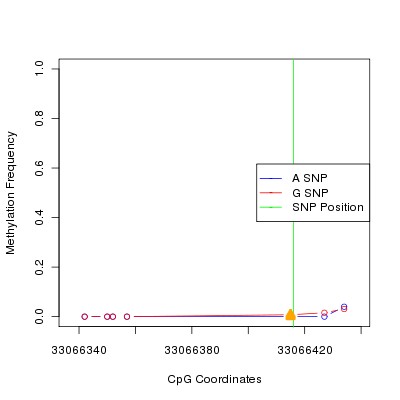 Allele Specific Methylation Frequency Diagram for chr21 33066416 SNP.