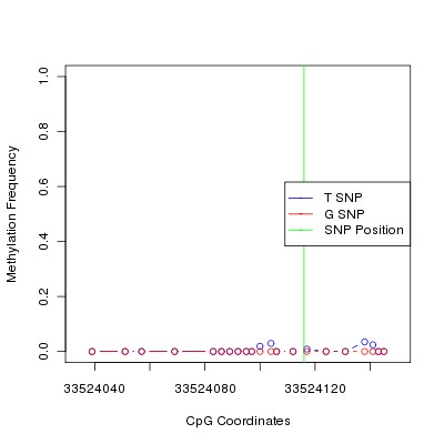 Allele Specific Methylation Frequency Diagram for chr21 33524116 SNP.