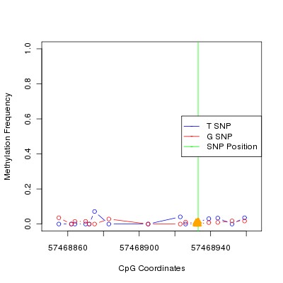 Allele Specific Methylation Frequency Diagram for chr4 57468933 SNP.