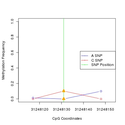 Allele Specific Methylation Frequency Diagram for chr6 31248131 SNP.