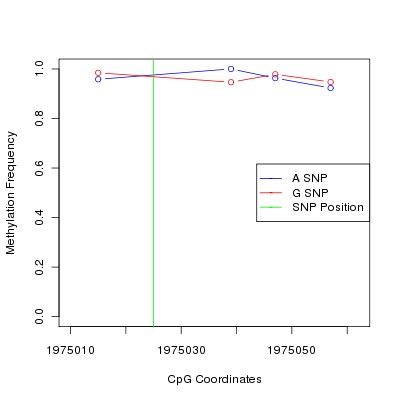 Allele Specific Methylation Frequency Diagram for chr11 1975025 SNP.