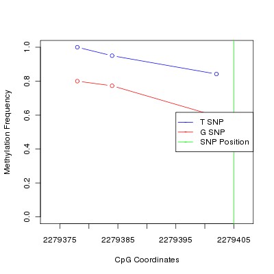 Allele Specific Methylation Frequency Diagram for chr11 2279405 SNP.