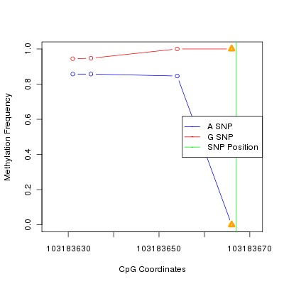 Allele Specific Methylation Frequency Diagram for chr12 103183667 SNP.