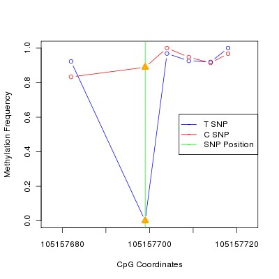 Allele Specific Methylation Frequency Diagram for chr12 105157699 SNP.