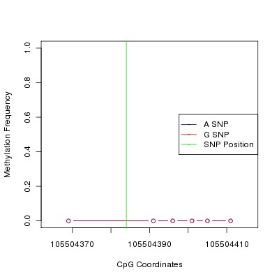 Allele Specific Methylation Frequency Diagram for chr12 105504384 SNP.