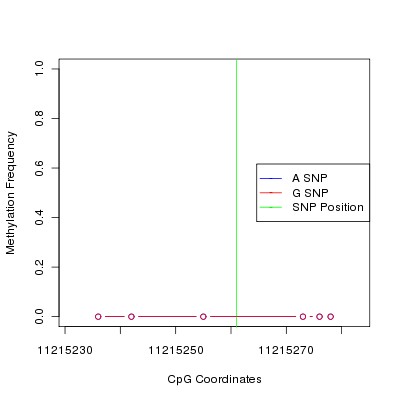 Allele Specific Methylation Frequency Diagram for chr12 11215261 SNP.