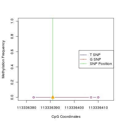 Allele Specific Methylation Frequency Diagram for chr12 113336391 SNP.