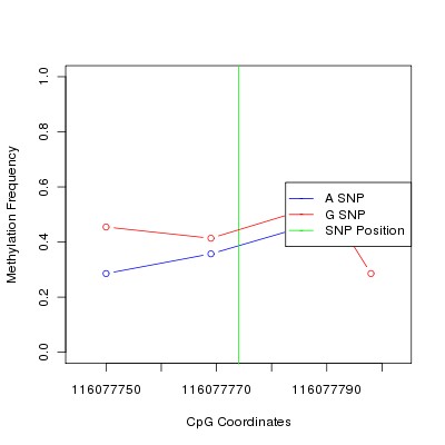 Allele Specific Methylation Frequency Diagram for chr12 116077774 SNP.