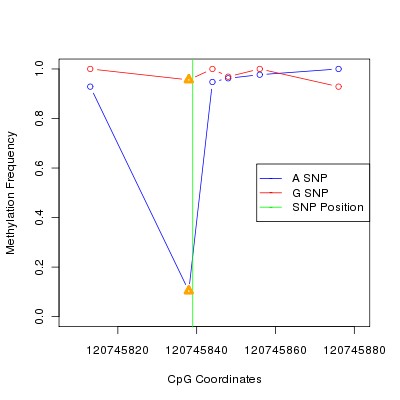 Allele Specific Methylation Frequency Diagram for chr12 120745839 SNP.