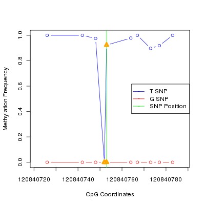 Allele Specific Methylation Frequency Diagram for chr12 120840753 SNP.