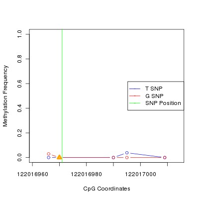 Allele Specific Methylation Frequency Diagram for chr12 122016971 SNP.