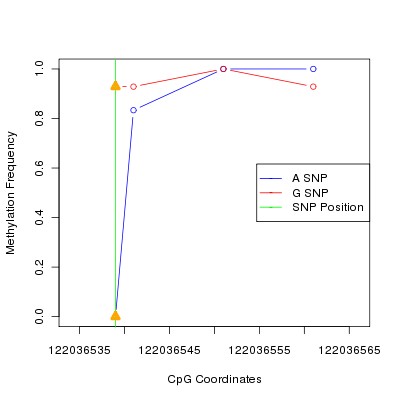 Allele Specific Methylation Frequency Diagram for chr12 122036539 SNP.