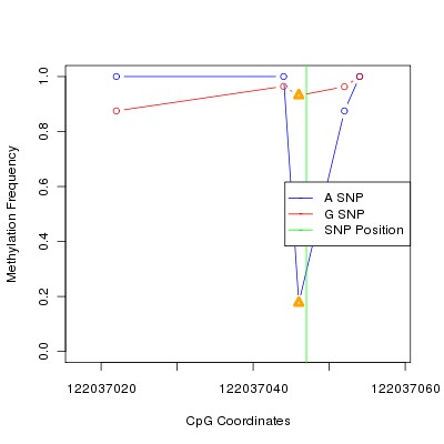 Allele Specific Methylation Frequency Diagram for chr12 122037047 SNP.