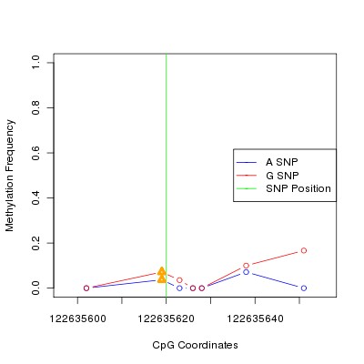 Allele Specific Methylation Frequency Diagram for chr12 122635620 SNP.