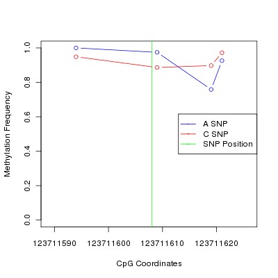 Allele Specific Methylation Frequency Diagram for chr12 123711608 SNP.