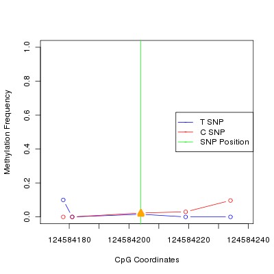 Allele Specific Methylation Frequency Diagram for chr12 124584204 SNP.