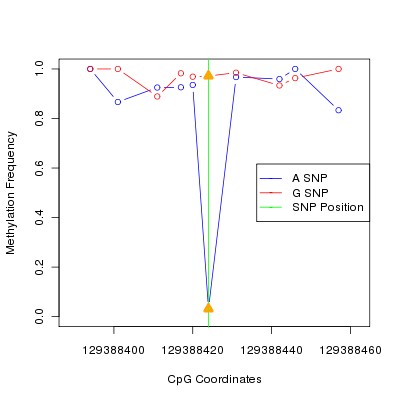 Allele Specific Methylation Frequency Diagram for chr12 129388424 SNP.