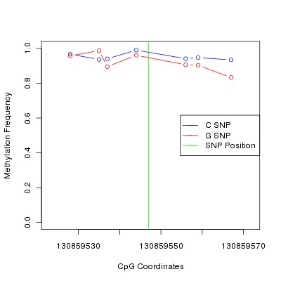 Allele Specific Methylation Frequency Diagram for chr12 130859547 SNP.